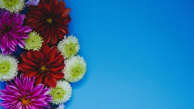 黑白体育直播_黑白体育直播免费观看视频高清版-黑白体育直播在线-黑白体育直播篮球免费-黑白体育直播免费观看